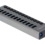 DELOCK USB hub 63738 με διακόπτες, 13x θυρών, 5Gbps, γκρι - 4043619637386