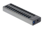 DELOCK USB hub 63738 με διακόπτες, 13x θυρών, 5Gbps, γκρι - 4043619637386
