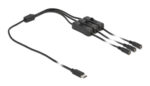 DELOCK καλώδιο USB Type-C σε 3x DC 5.5 x 2.1mm 86801, 1m, μαύρο - 4043619868018