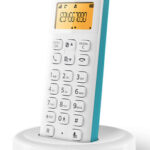 PHILIPS ασύρματο τηλέφωνο D1601T-34, με ελληνικό μενού, λευκό-πράσινο - 4895229122116