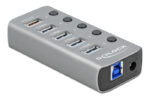 DELOCK USB hub 63262 με διακόπτες, 5x θυρών, 5Gbps, 2.4A, γκρι - 4043619632626