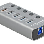 DELOCK USB hub 63262 με διακόπτες, 5x θυρών, 5Gbps, 2.4A, γκρι - 4043619632626