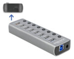 DELOCK USB hub 63264 με διακόπτες, 9x θυρών, 5Gbps, 12V/2.25A PD, γκρι - 4043619632640
