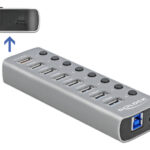 DELOCK USB hub 63264 με διακόπτες, 9x θυρών, 5Gbps, 12V/2.25A PD, γκρι - 4043619632640