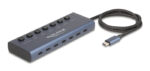 DELOCK USB-C hub 63410 με διακόπτες, 7x θυρών, 5Gbps, 20W, USB-C σύνδεση, μπλε - 4043619634101