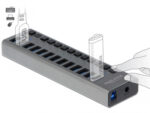 DELOCK USB hub 63738 με διακόπτες, 13x θυρών, 5Gbps, γκρι - 4043619637386 - Image 2