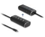 DELOCK USB hub 64233 με διακόπτες, 4 θυρών, 10Gbps, USB-C σύνδεση, μαύρο - 4043619642335