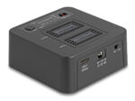 DELOCK docking station για M.2 NVMe SSD 64300, 2 θέσεων, 20Gbps, clone/erase function, μαύρο - 4043619643004