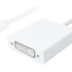 POWERTECH αντάπτορας USB Type-C σε DVI PTH-036, 4K, λευκό - 5210131023556