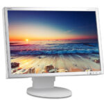 NEC used οθόνη EA221WM LCD, 22" 1680x1050, VGA/DVI, Grade B - 5210131172643